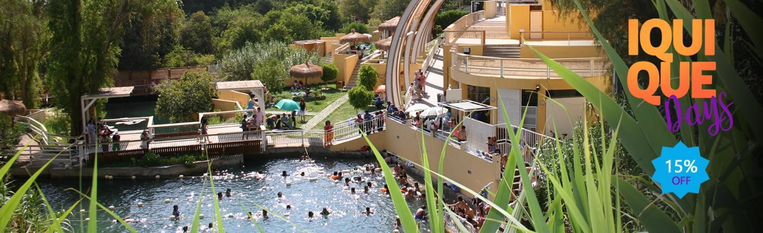 Oasis de Pica
